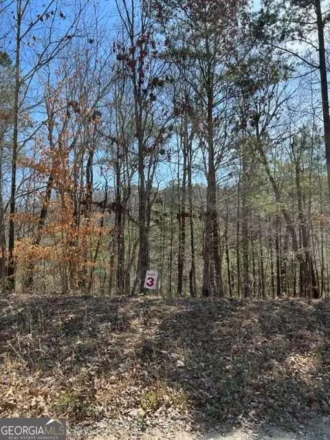 LT 3 Hunter Ridge, Ellijay, GA 30540