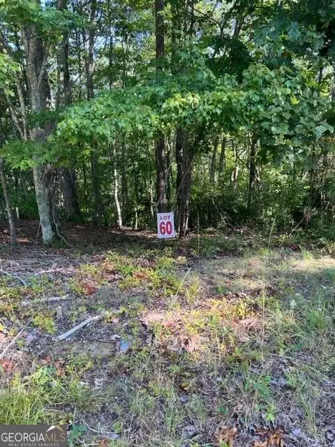 LT 60 Honeysuckle Way, Ellijay, GA 30540