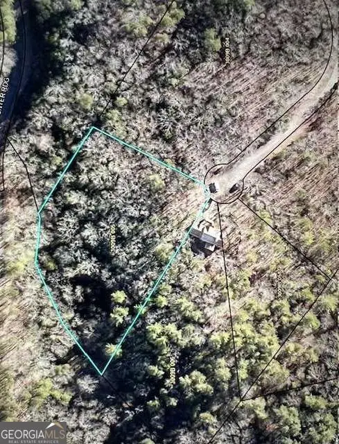 LT 60 Honeysuckle Way, Ellijay, GA 30540 - #3