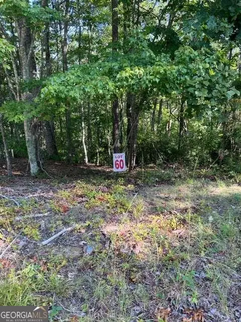 LTS 61 & 62 Honeysuckle Way, Ellijay, GA 30540 - #1