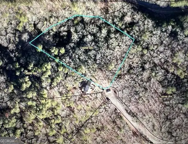 LTS 61 & 62 Honeysuckle Way, Ellijay, GA 30540 - #2