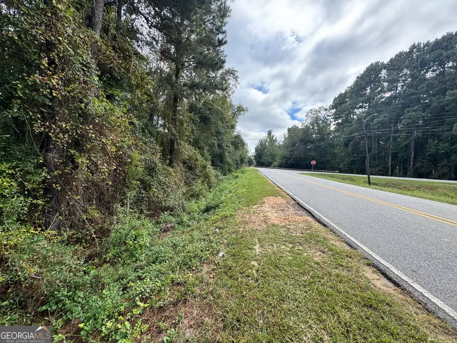 0 Elko Road, Unadilla, GA 31091 - Image #3