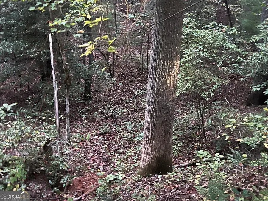 0 Candy Mountain Road, Murphy, NC 28906 - Image #3