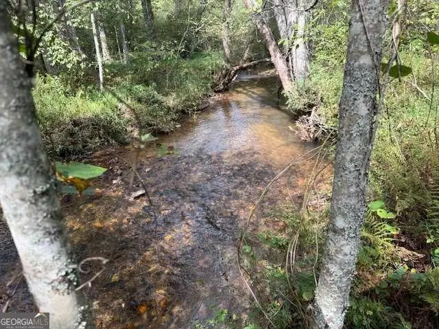 154 Foggy Meadow Drive, Blairsville, GA 30512 - Image #3