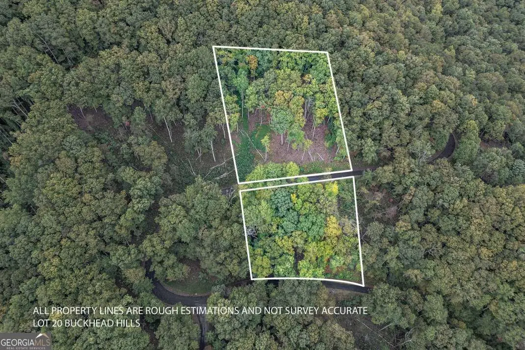 LOT 20 Buckhead Hills, Hiawassee, GA 30546 - Image #1