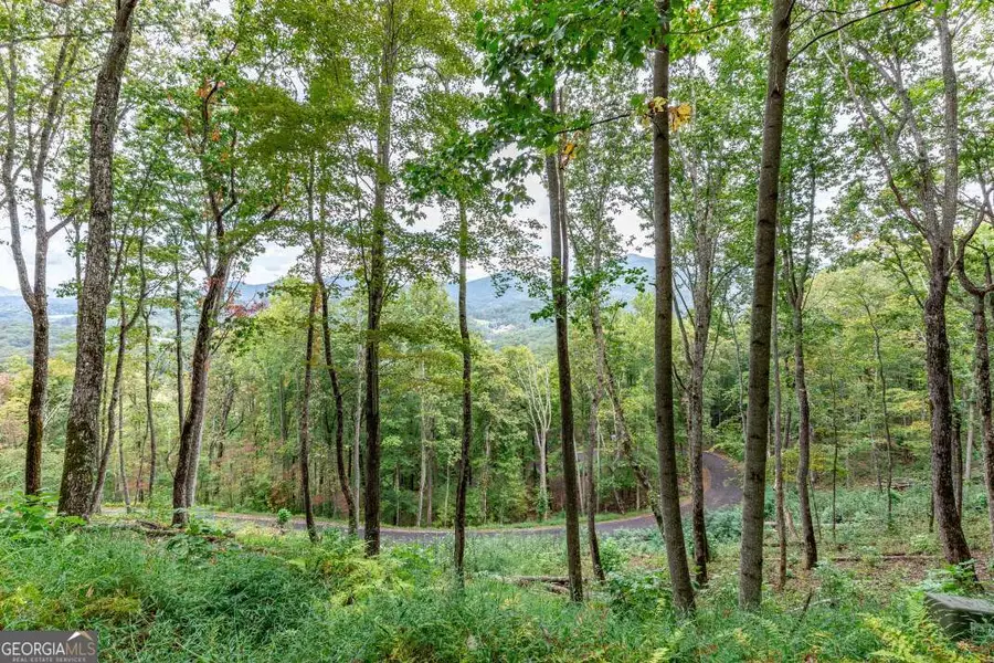 LOT 20 Buckhead Hills, Hiawassee, GA 30546 - Image #2