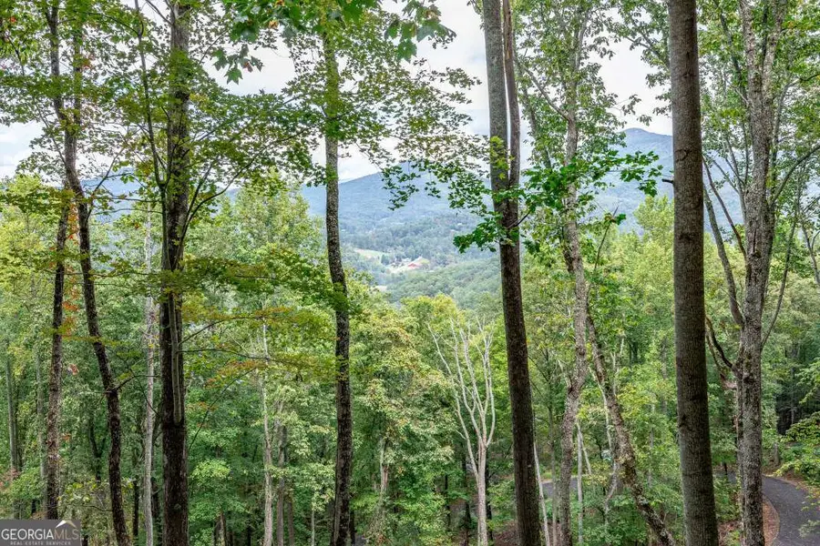 LOT 20 Buckhead Hills, Hiawassee, GA 30546 - Image #3