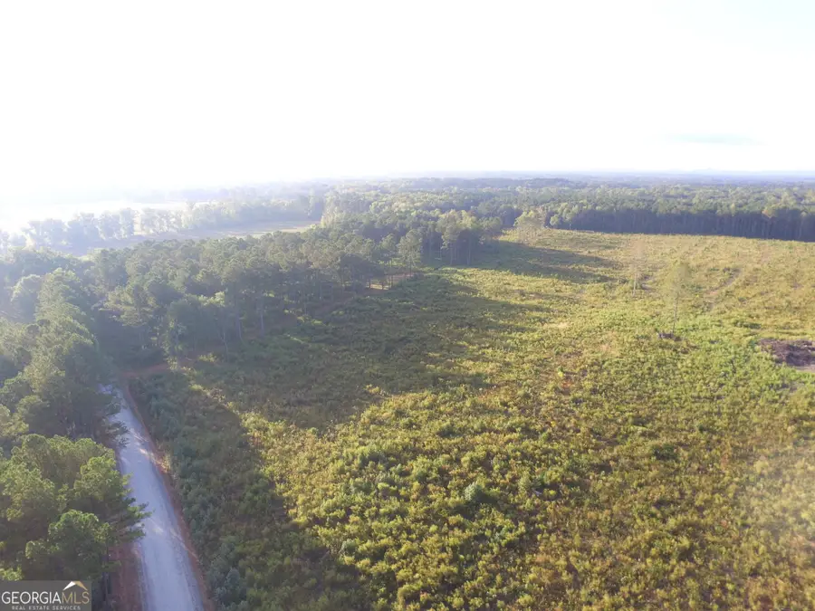 0 Bolton Road, Zebulon, GA 30295 - Image #2