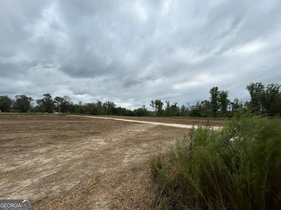 0 Homer Waters Road, Glennville, GA 30427 - Image #2