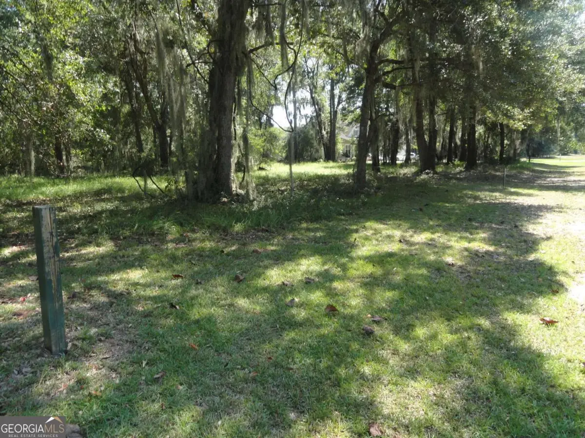 423 Coopers Landing Drive, Townsend, GA 31331 - Image #1