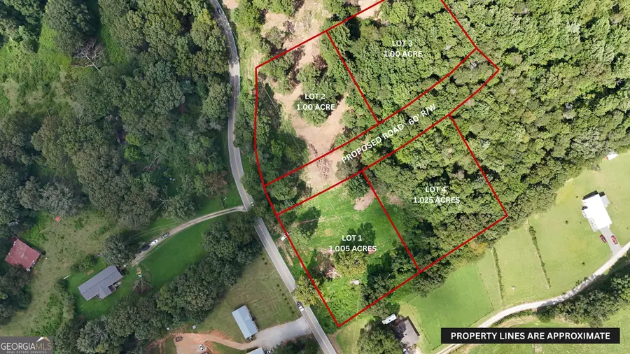 LOT 2 Hollywood Church Road, Clarkesville, GA 30523 - Image #3