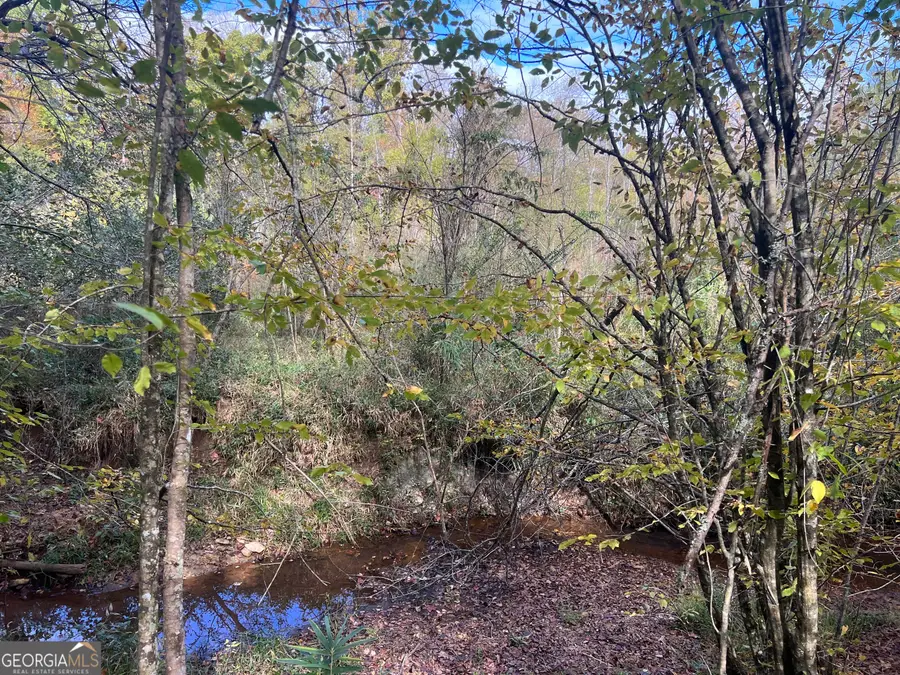 0 South Bridge Road, Franklin, GA 30217 - Image #2