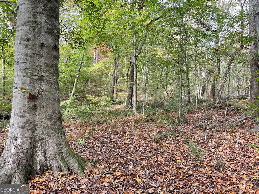 0 South Bridge Road, Franklin, GA 30217 - Image #3