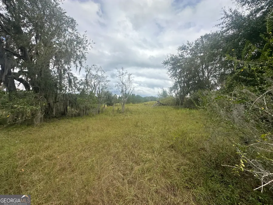 0 South Fork Road, Sylvania, GA 30467 - Image #2