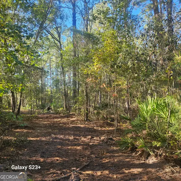 0 Highway 67, Pembroke, GA 31321