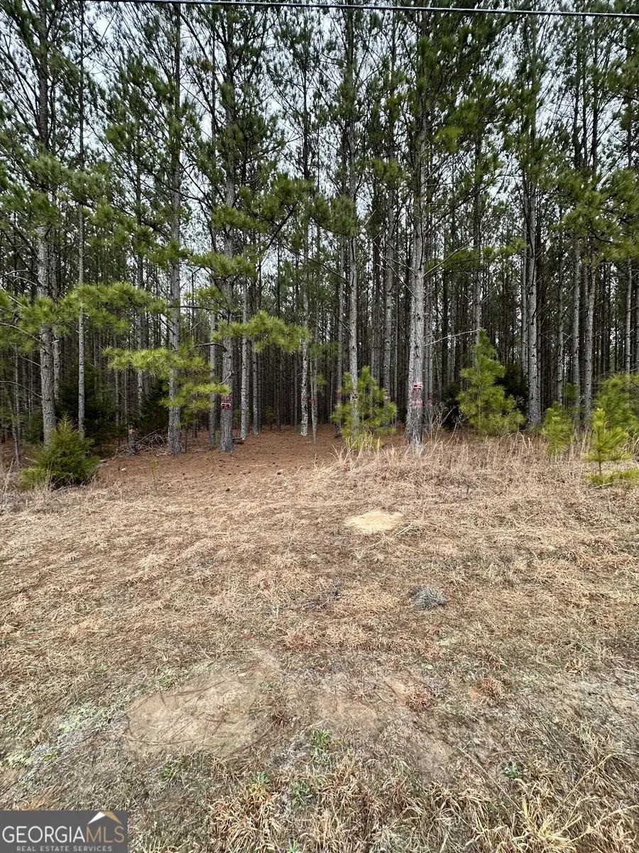 1707 Elberton Road, Lexington, GA 30648 - Image #3