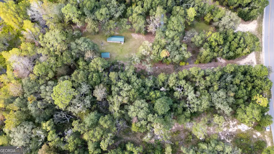 0 River Ridge Road, Reidsville, GA 30453 - Image #2