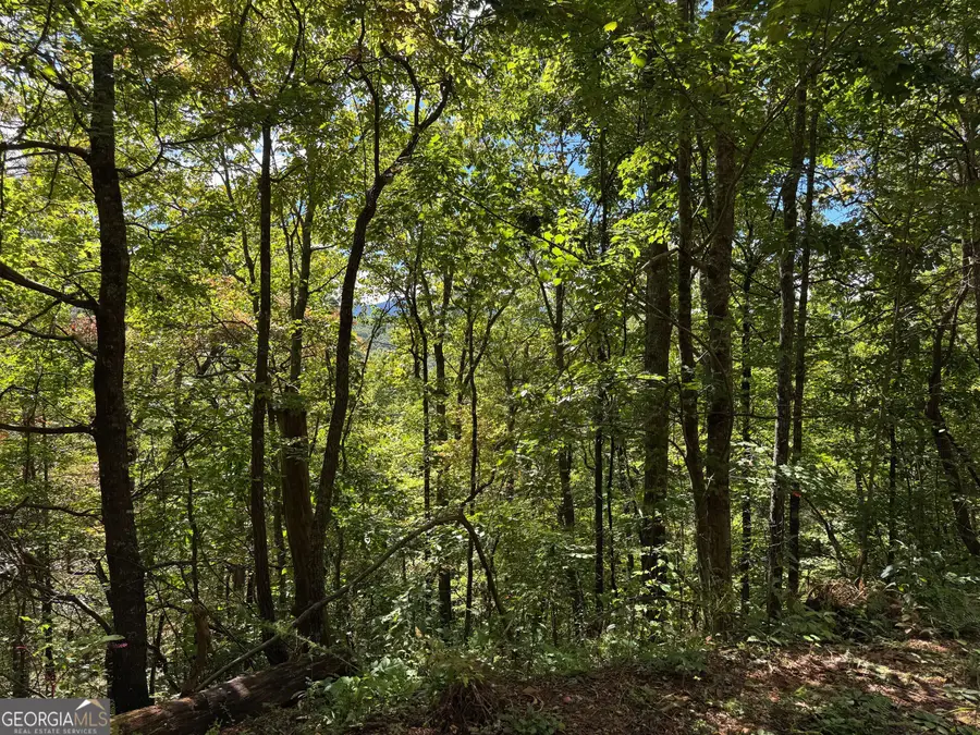 0 Burnt Leaf Lane, Hayesville, NC 28904 - Image #2