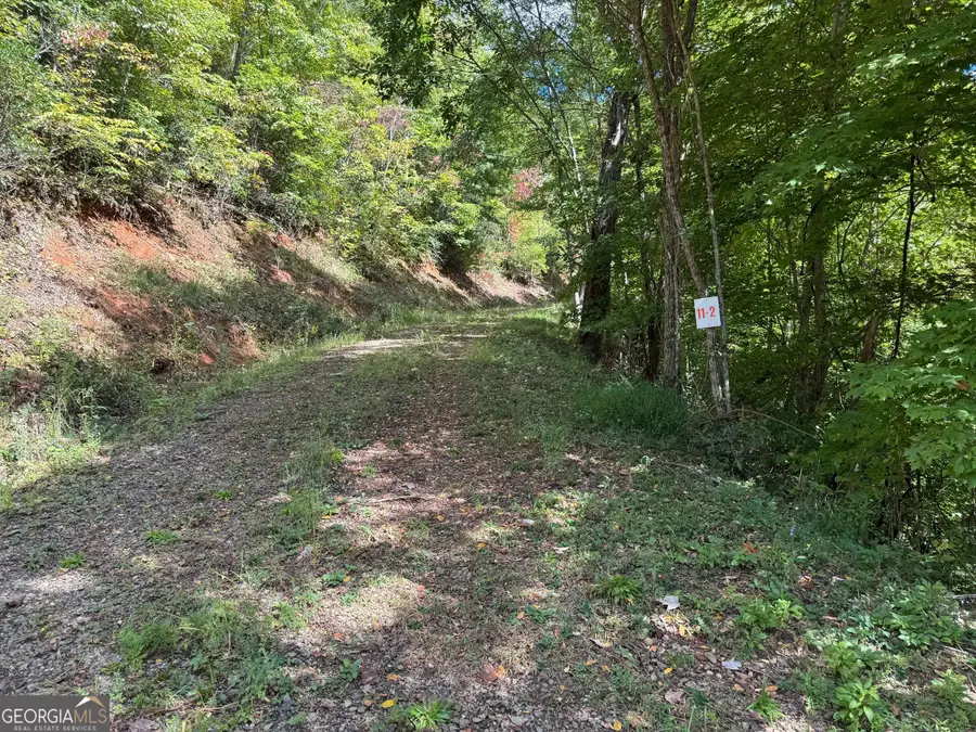 0 Burnt Leaf Lane, Hayesville, NC 28904 - Image #3