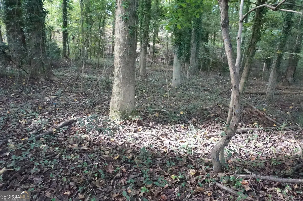 LOT 6 Pine Valley Drive, Royston, GA 30662 - #1