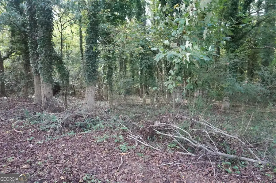 LOT 6 Pine Valley Drive, Royston, GA 30662 - #3