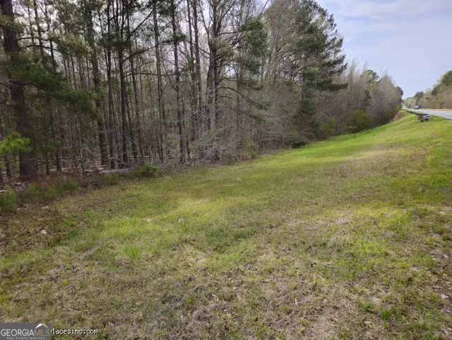 TRACT 2 Us Highway 341 N, Musella, GA 31066 - Image #1