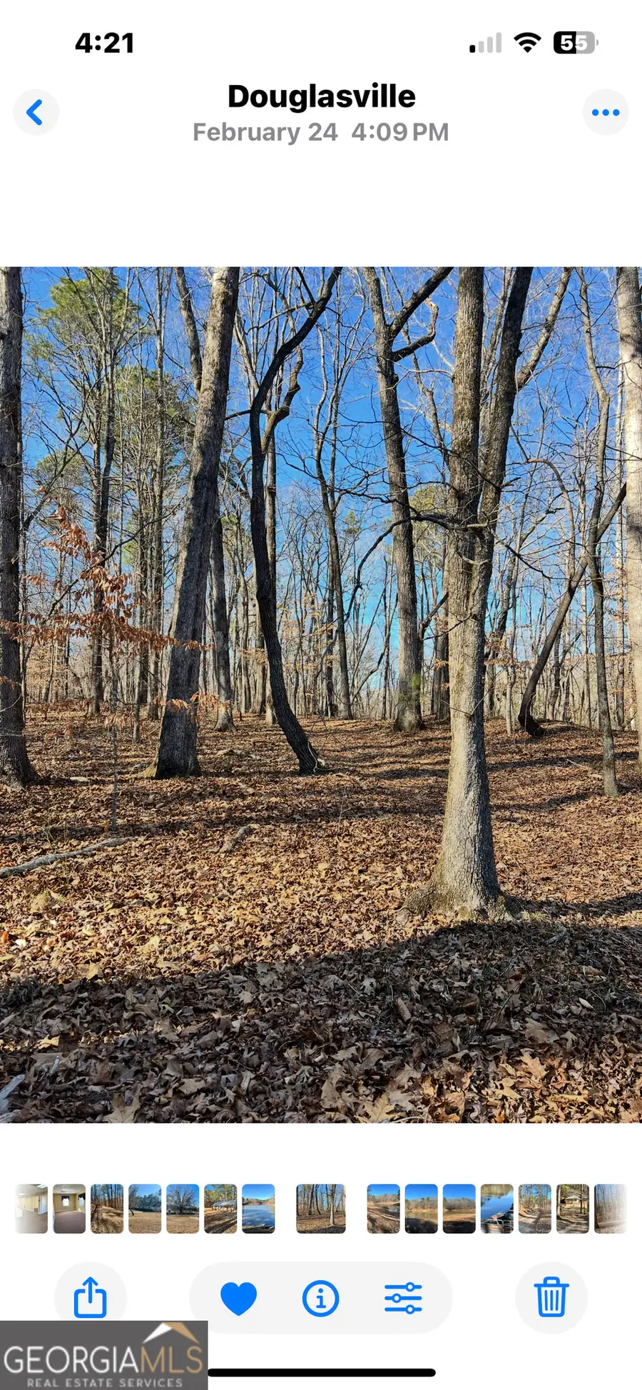 0 Coursey Lake Road, Douglasville, GA 30135 - Image #3