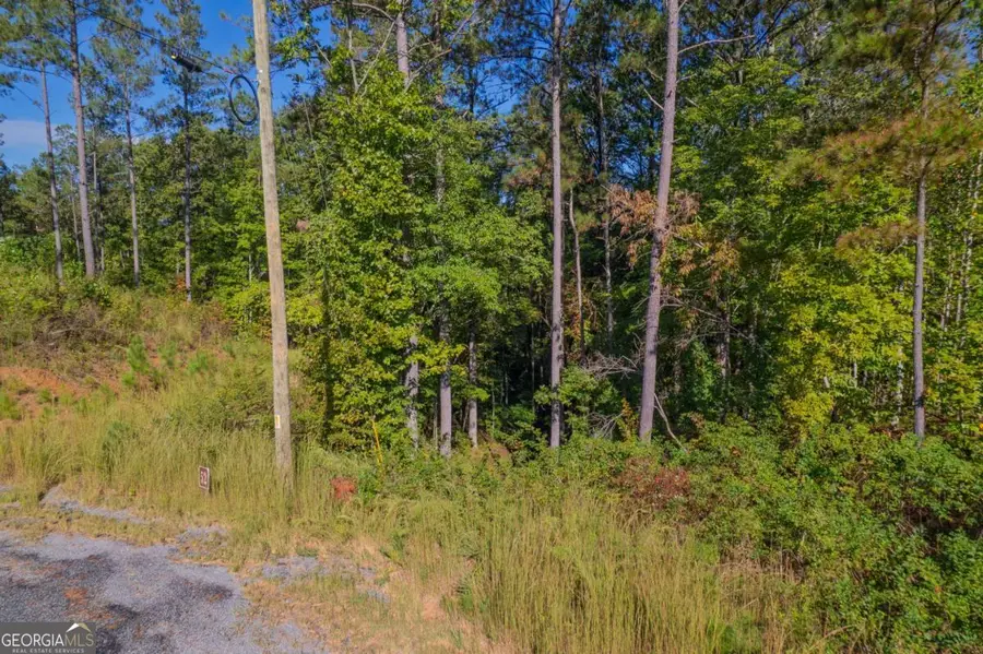 LOT 52 Royal Wulff Avenue, Talking Rock, GA 30175 - Image #3