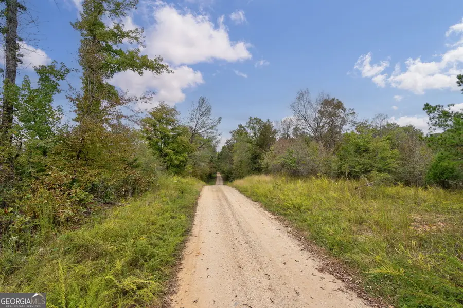 0 New Hope Vesta Road, Carlton, GA 30627 - Image #2