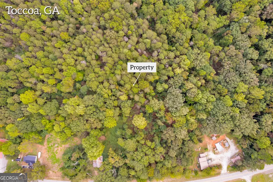 0 Brookhaven Circle, Toccoa, GA 30577 - Image #2