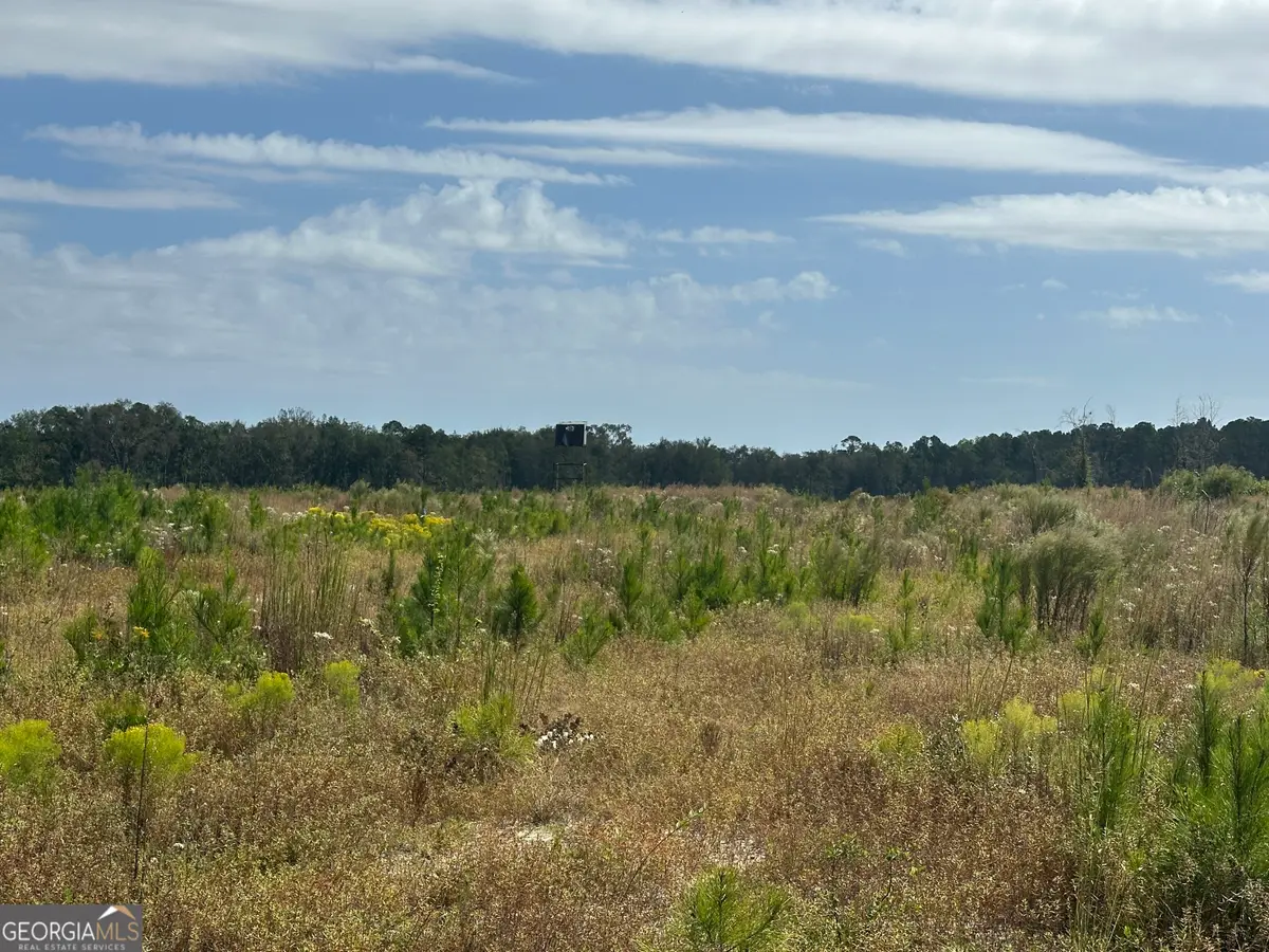 0 Runs Branch Road, Sylvania, GA 30467 - Image #1