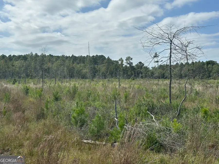 0 Runs Branch Road, Sylvania, GA 30467 - Image #2