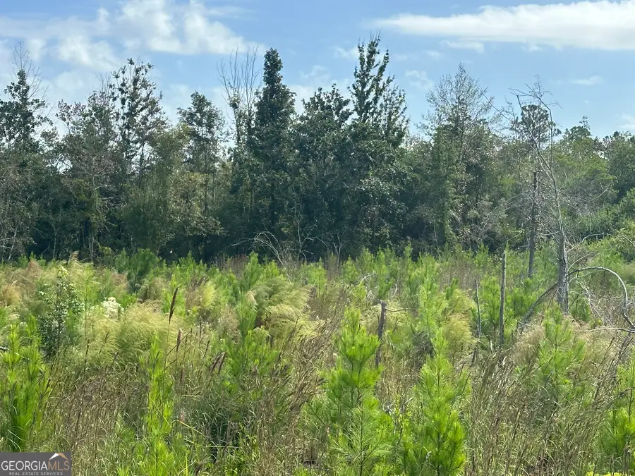 0 Runs Branch Road, Sylvania, GA 30467 - Image #3