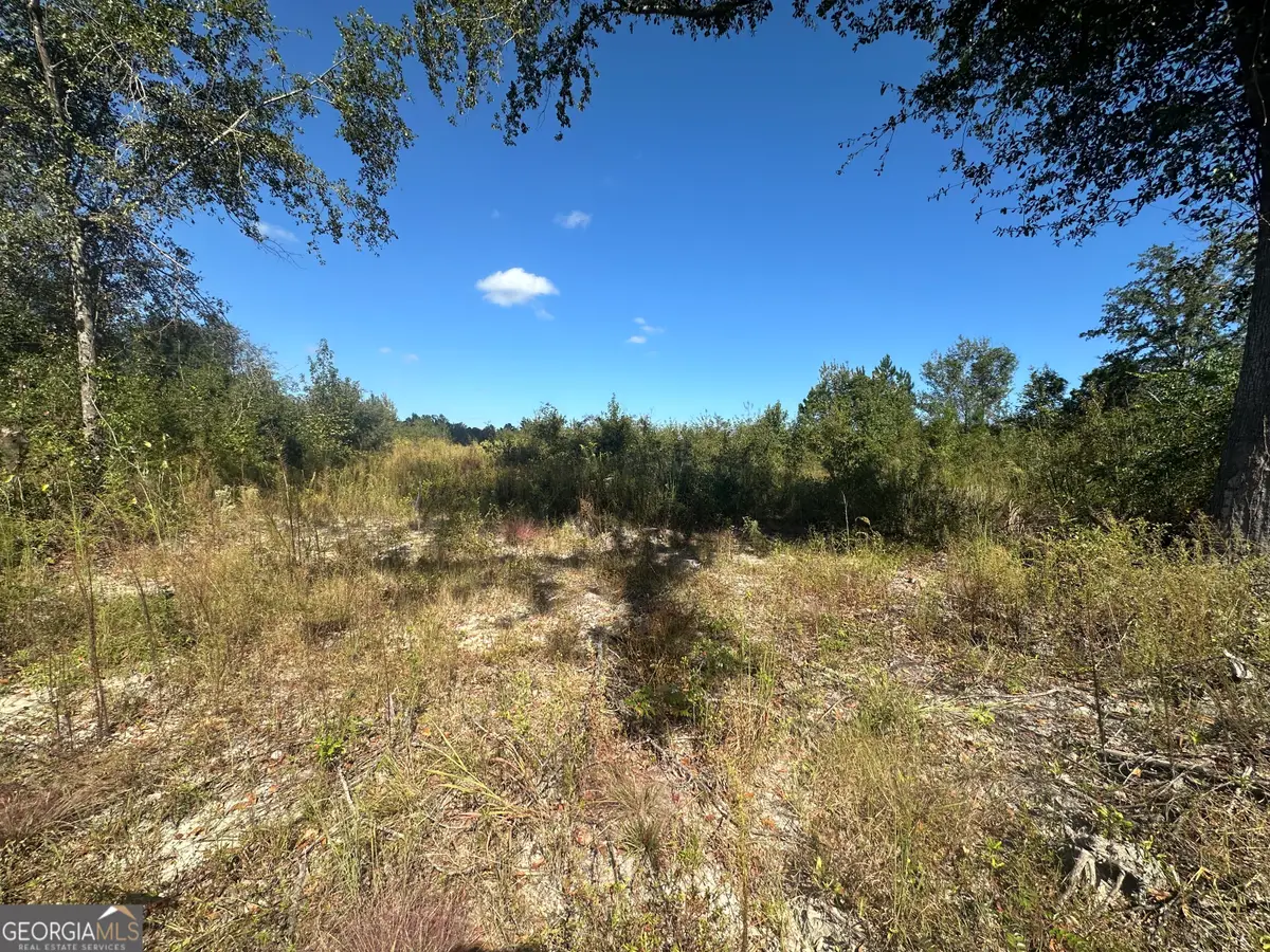 0 Waynesboro Hwy, Sylvania, GA 30467 - Image #1