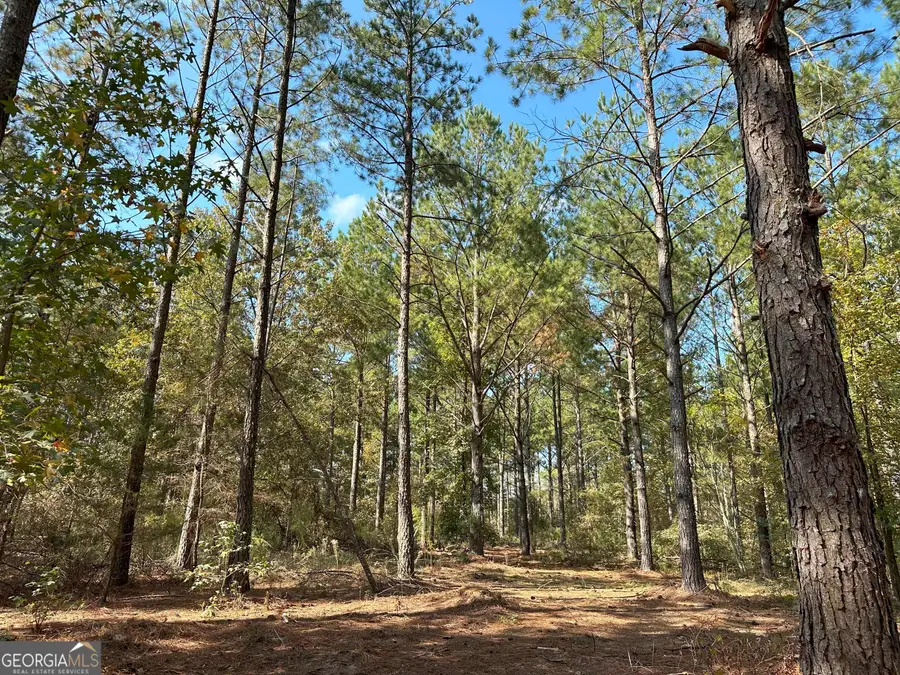 50 HEARTHSTONE Drive, Carlton, GA 30627 - Image #2