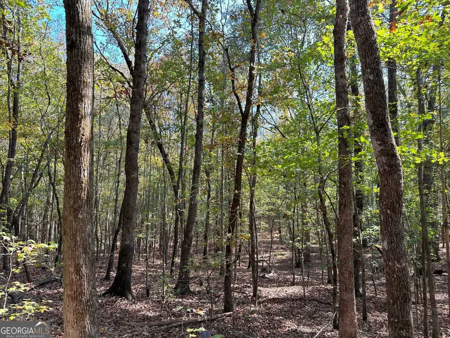 50 HEARTHSTONE Drive, Carlton, GA 30627 - Image #3