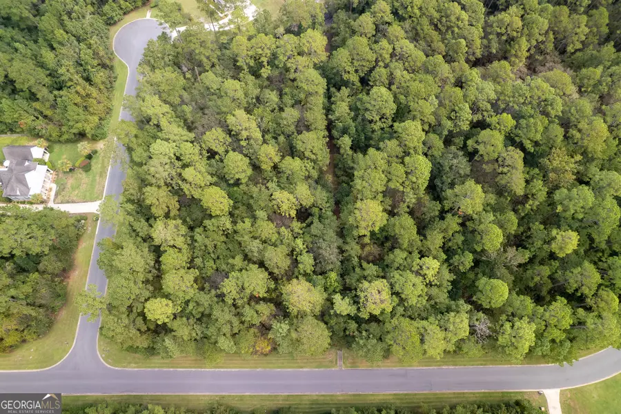 V/L 173A Misty Harbor, Woodbine, GA 31569 - Image #3
