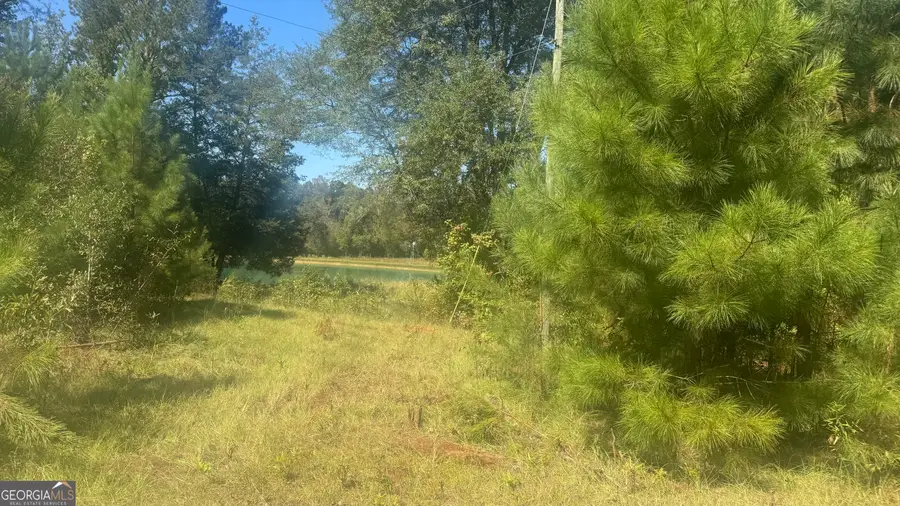 56009 Alabama 22, Roanoke, AL 36274 - Image #3