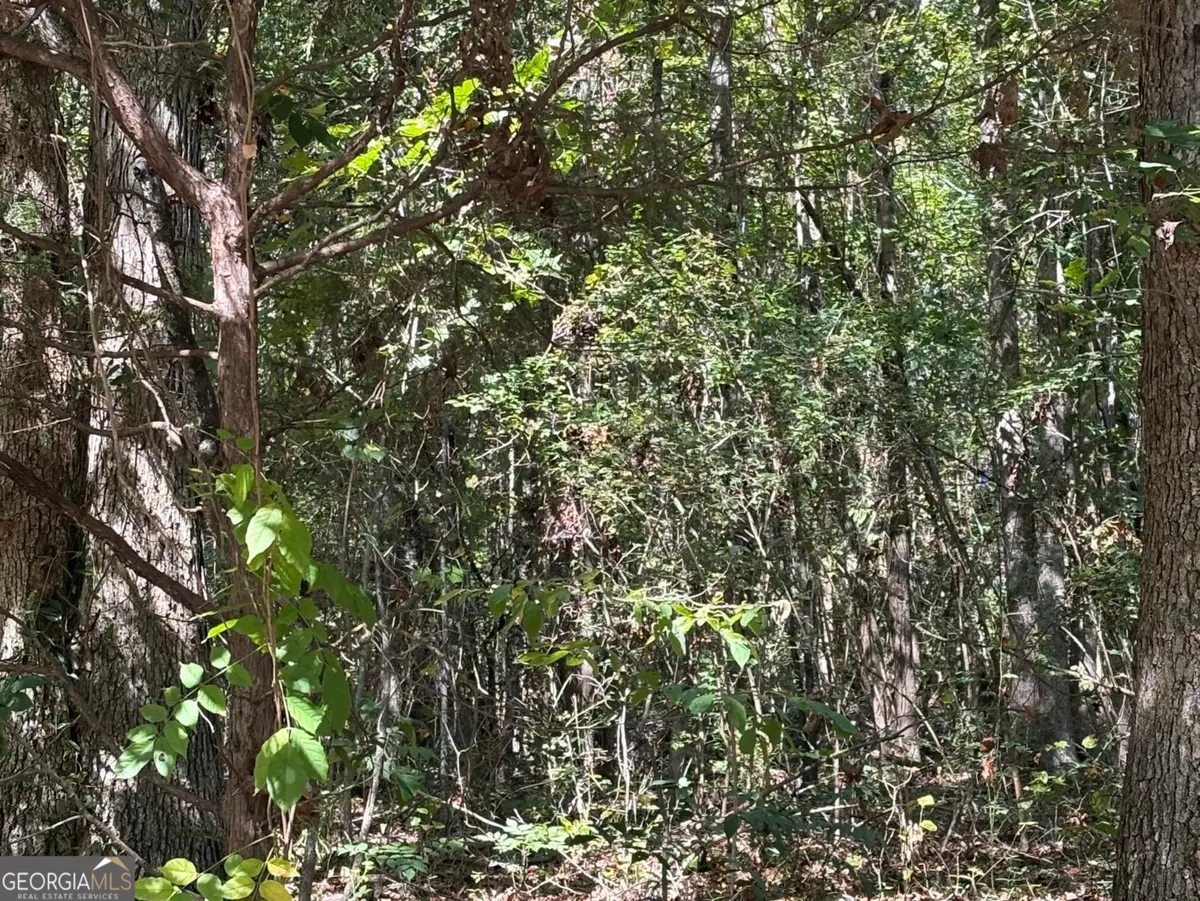 0 Old Greensboro Road, Union Point, GA 30669 - Image #1