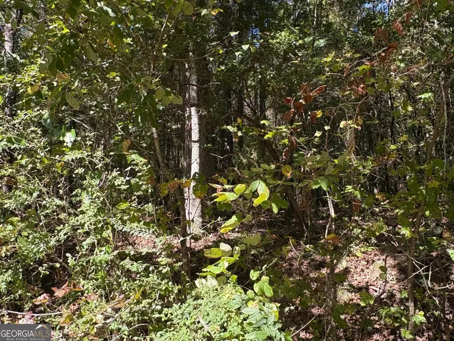 0 Old Greensboro Road, Union Point, GA 30669 - Image #2