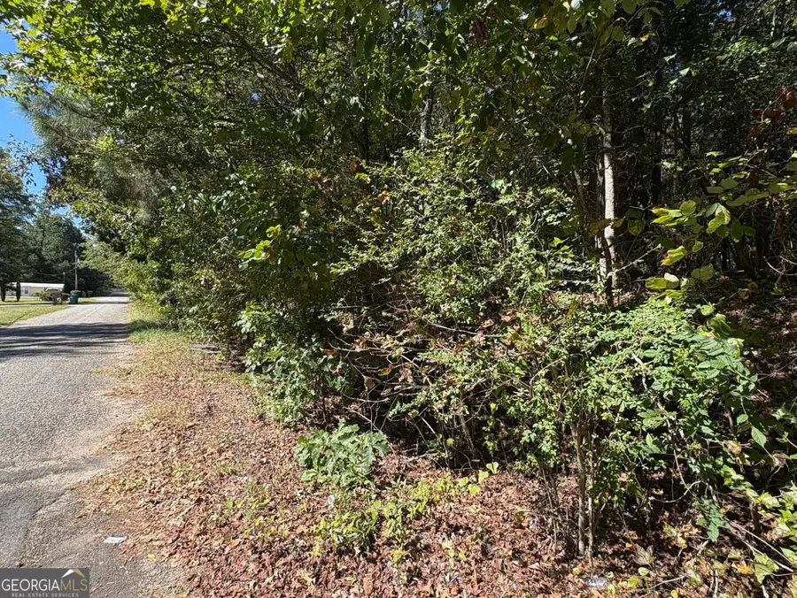 0 Old Greensboro Road, Union Point, GA 30669 - Image #3