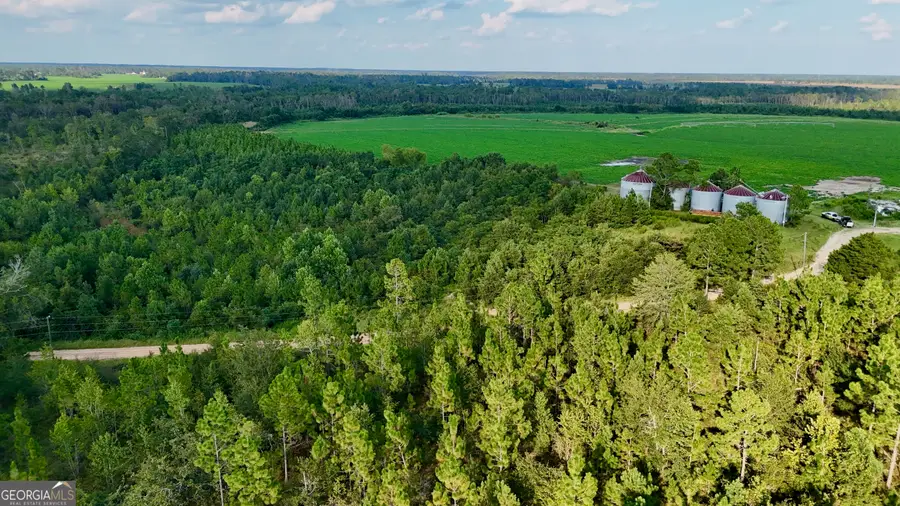 TRACT 3 Rhonda Coleman Road, Hazlehurst, GA 31539 - Image #2