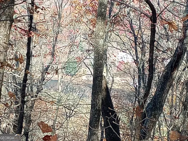 0 LOT 25 Alex Mountain, Sky Valley, GA 30537