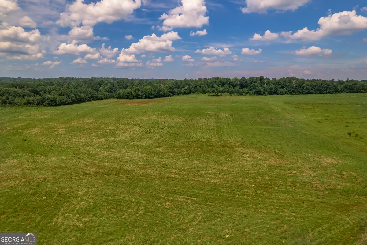 265 Hamil Road #31.89 AC, Griffin, GA 30223 - Image #1