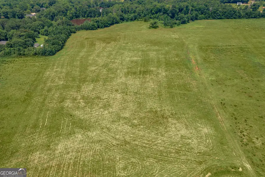 265 Hamil Road #31.89 AC, Griffin, GA 30223 - Image #2