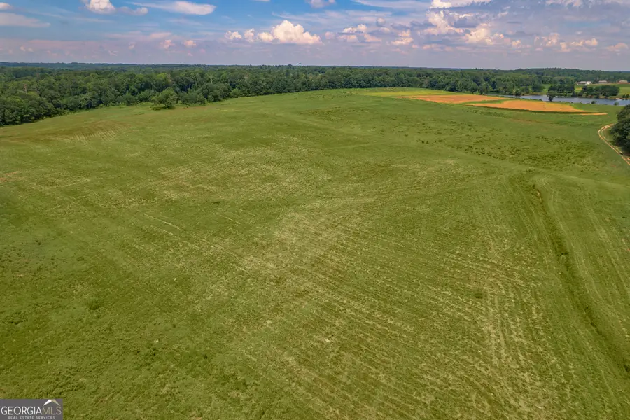 265 Hamil Road #31.89 AC, Griffin, GA 30223 - Image #3