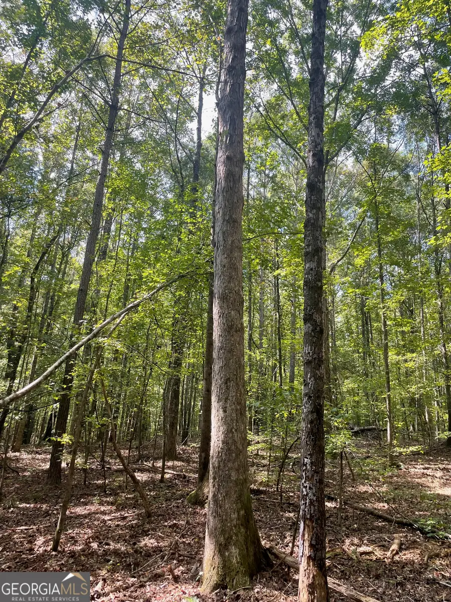 0 Elder Road, Griffin, GA 30223 - Image #2