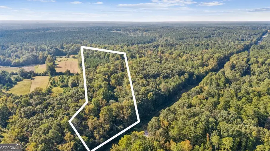 0 Elberton Road, Carlton, GA 30627 - Image #2