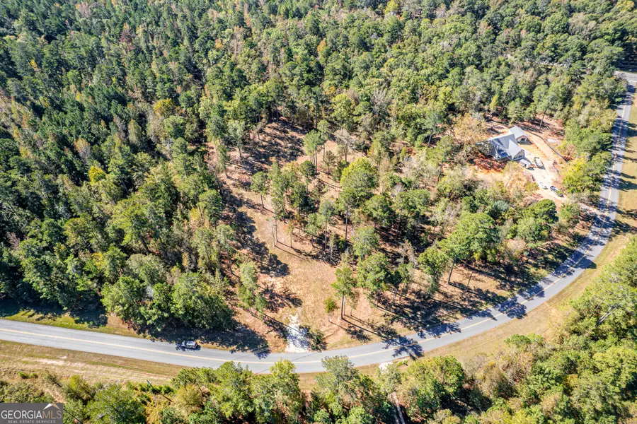 1081 Eagle Way Drive, Greensboro, GA 30642 - Image #3