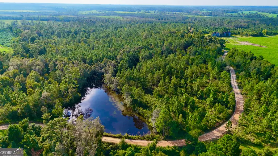 0 Rhonda Coleman Road, Hazlehurst, GA 31539 - Image #2